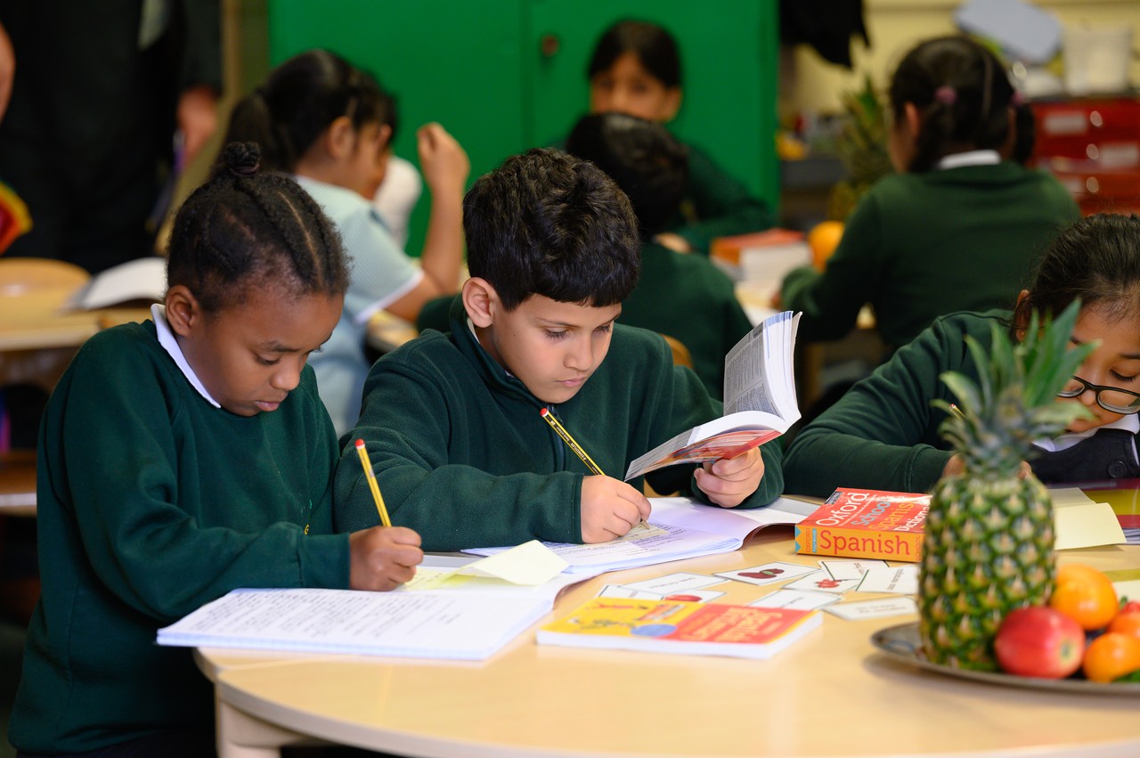 Curriculum